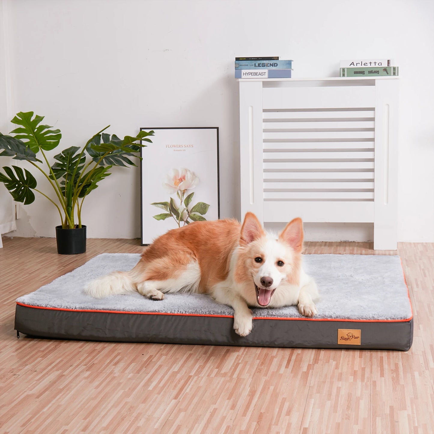 Orthopedic Dog Bed Kennel Memory Foam Waterproof Pet Bed with Removable Washable Cover Nonskid Bottom Joint Relief
