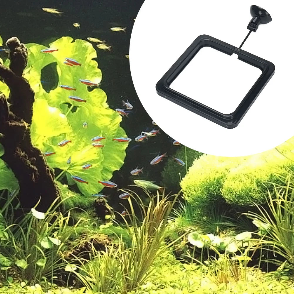 Aquarium Feeding Ring Fish Tank Station