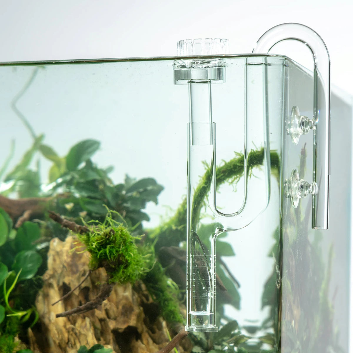 Aquarium Skimmer Glass Lily Pipe Spin Surface Inflow and Outflow 13/17mm Water Plant Tank Filter ADA Quality Fish Tank Filter