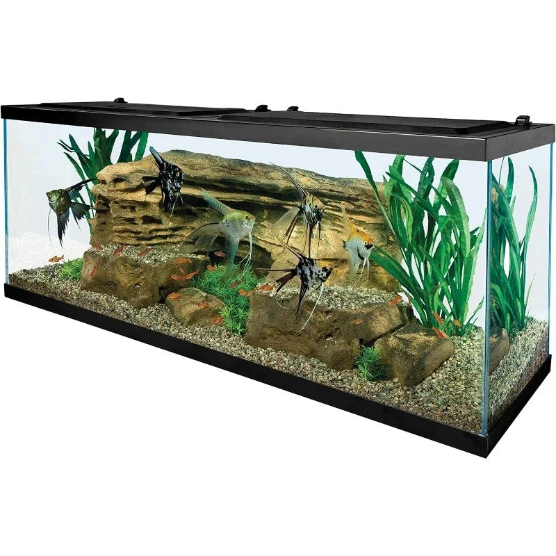 Rectangular Fish Tank, Glass Aquarium 55 Gallons