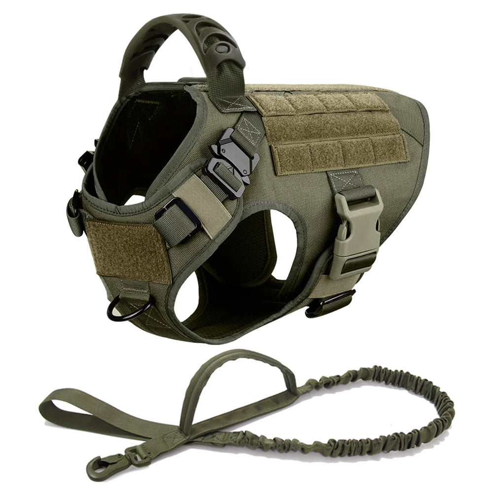 Large Padded Dog Harness And Leash Set