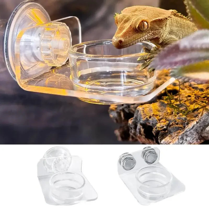 Magnetic Reptile Feeding Ledge Suction Cup