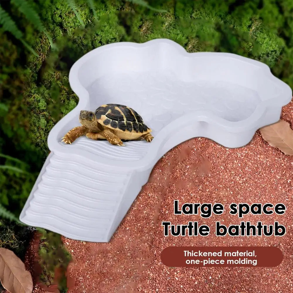 Reptile Bathing Pool Reptile Feeding Dish Water