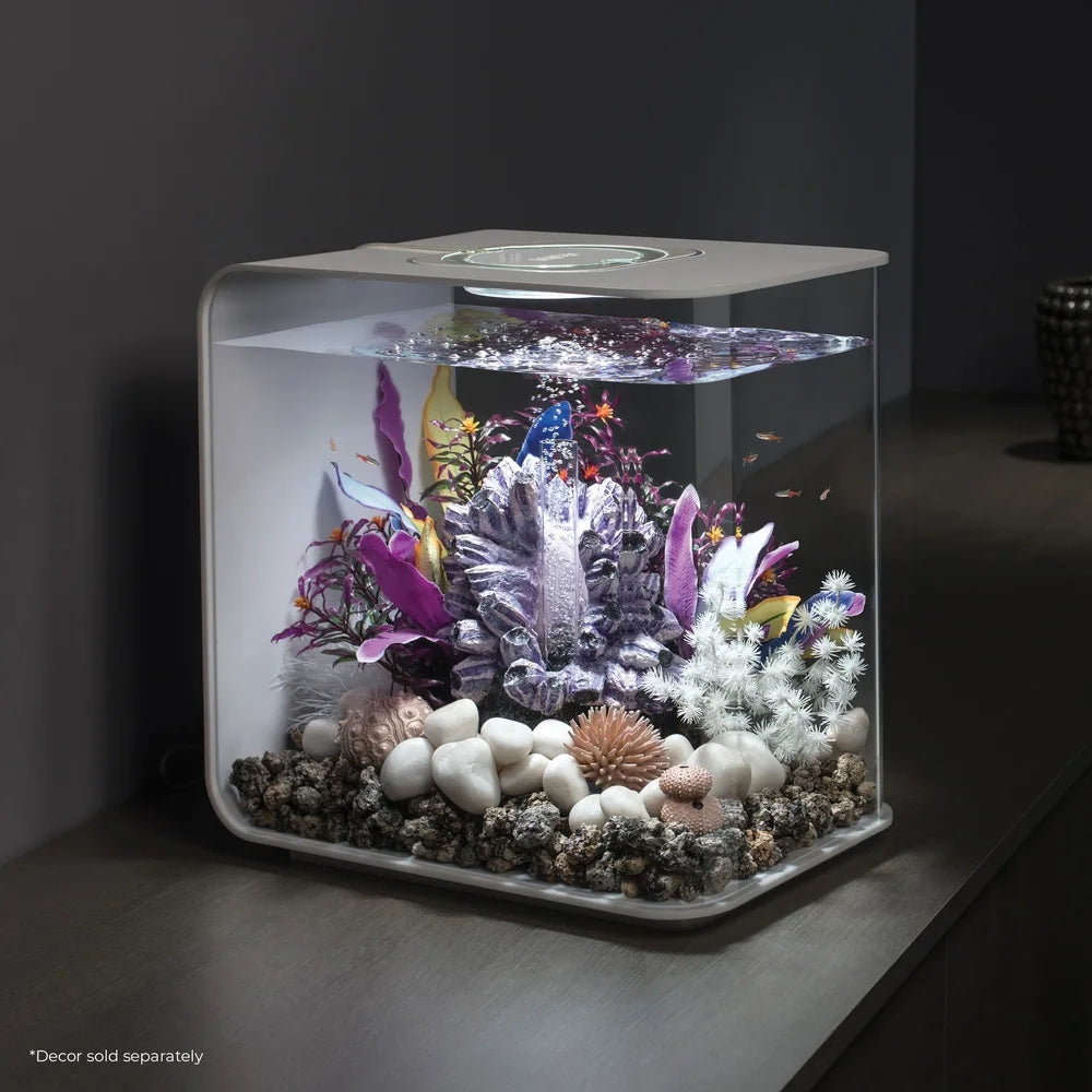 8 Gallon Acrylic Aquarium Kit with LED Light