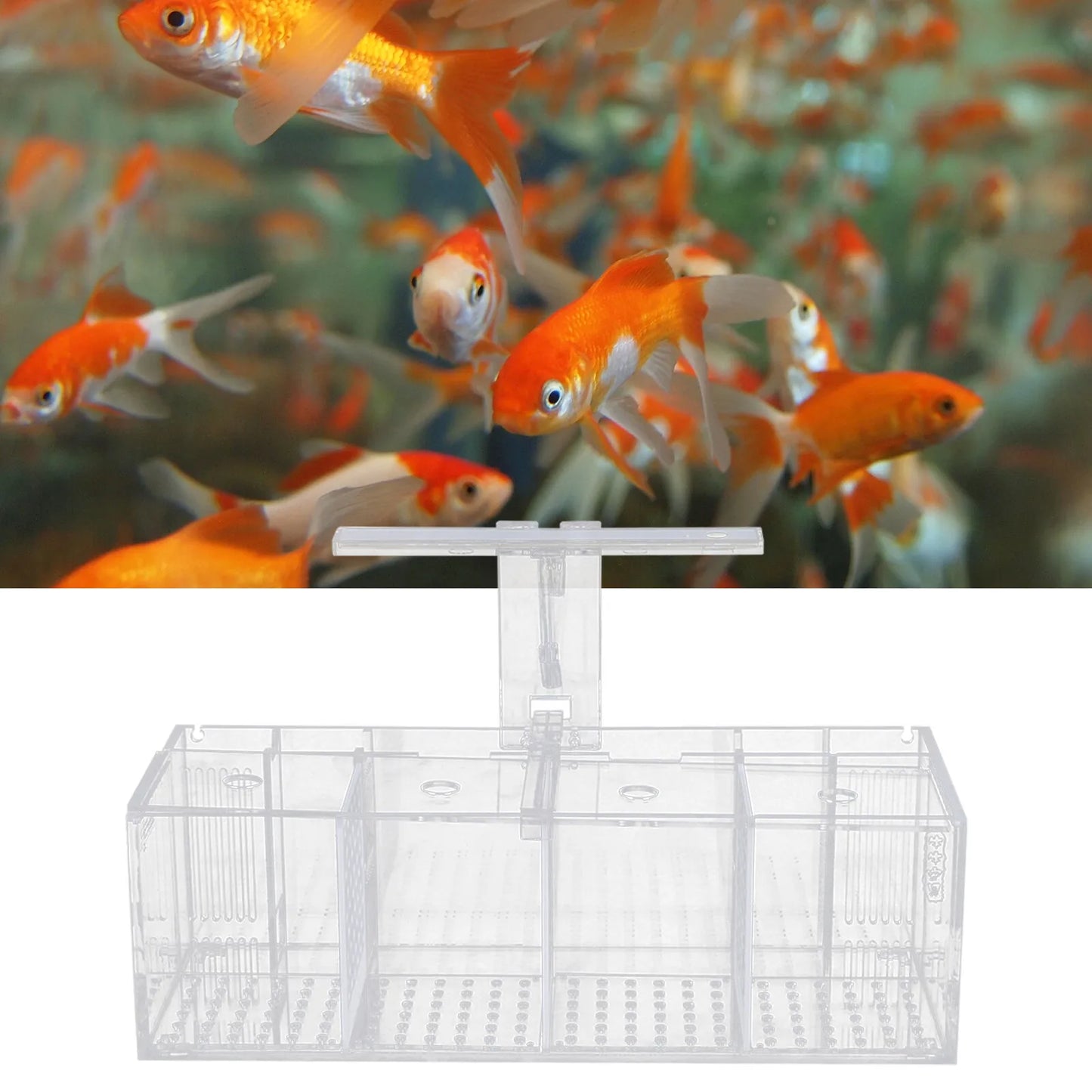 Aquaponic Betta Tank USB-Powered Aquaponic Betta Tank
