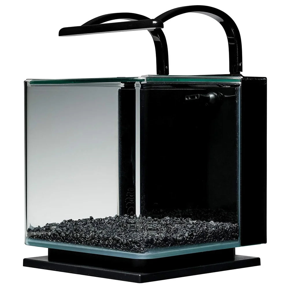 3 Gallon Aquarium Kit Hidden Filtration Full View
