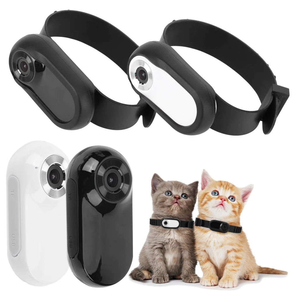 HD 1080P Wireless Collar Pet Camera