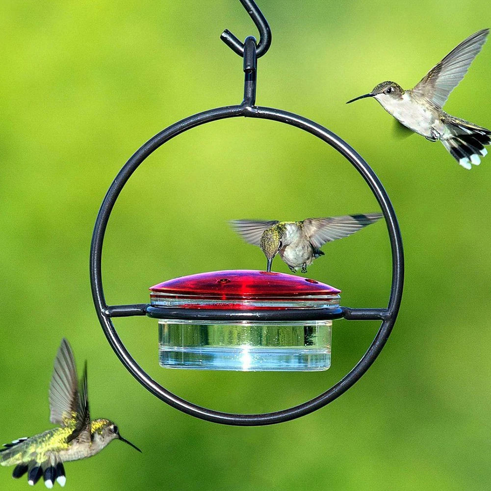 Hummingbird Drinker Feeder with Red Glass Bowl