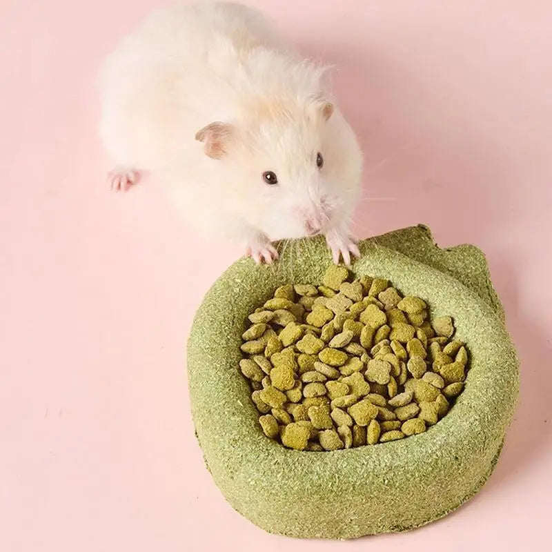 Chinchilla Chew Toys, Teething Toys Edible Food Bowl