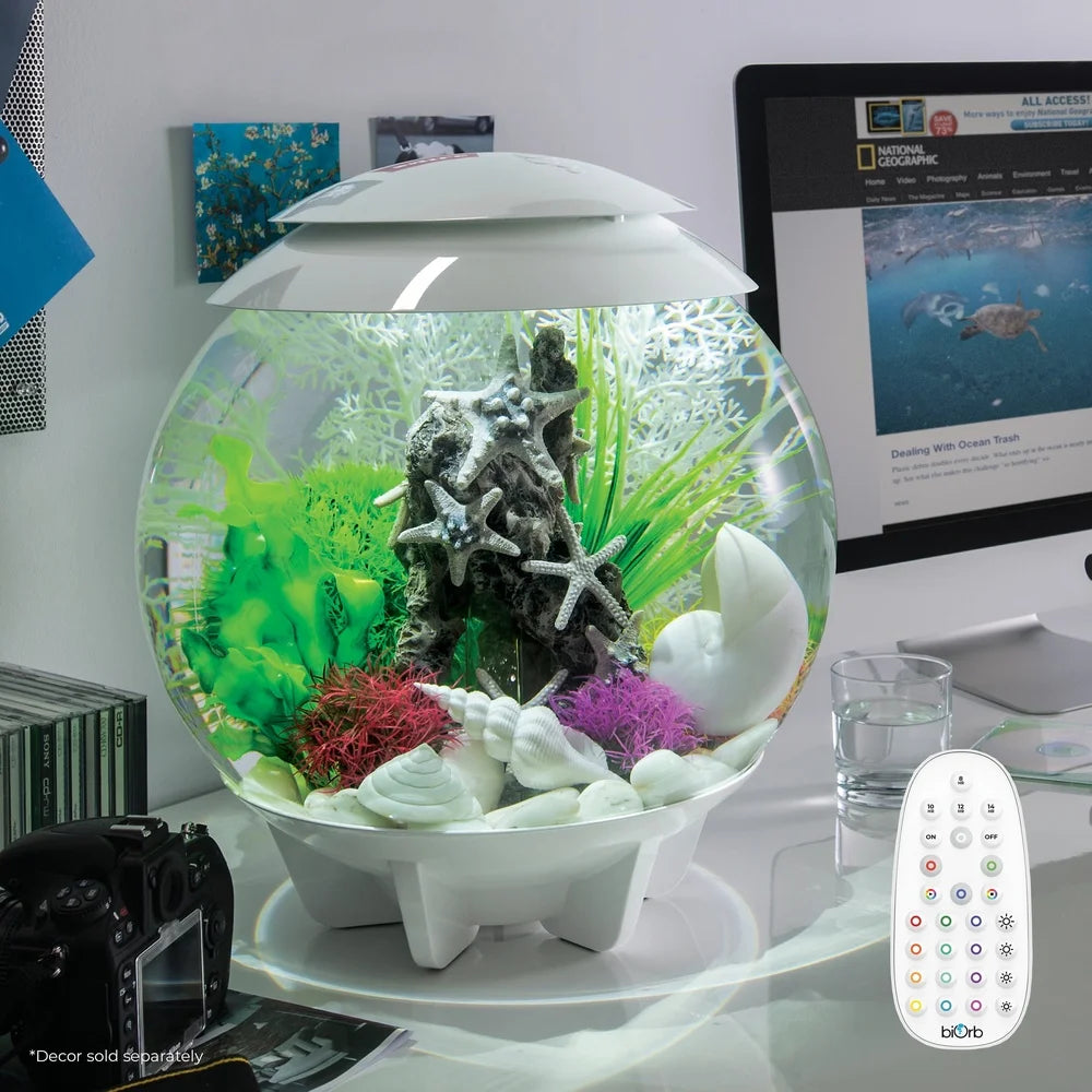 8 Gallon Acrylic Aquarium with Multi-Color Remote