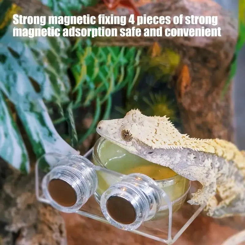 Magnetic Reptile Feeding Ledge Suction Cup
