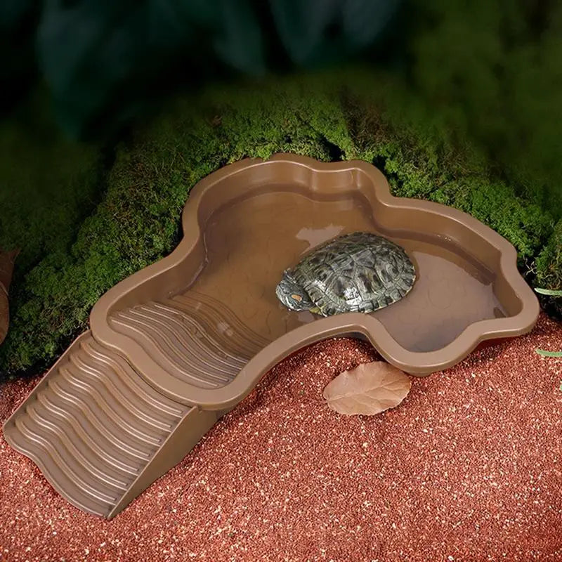 Reptile Bathing Pool Reptile Feeding Dish Water