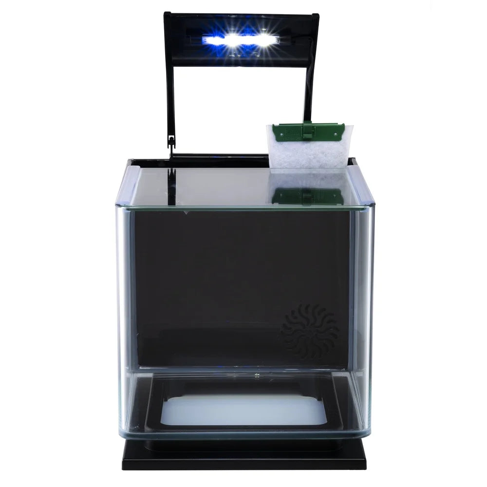 3 Gallon Betta Aquarium Kit with Lighting