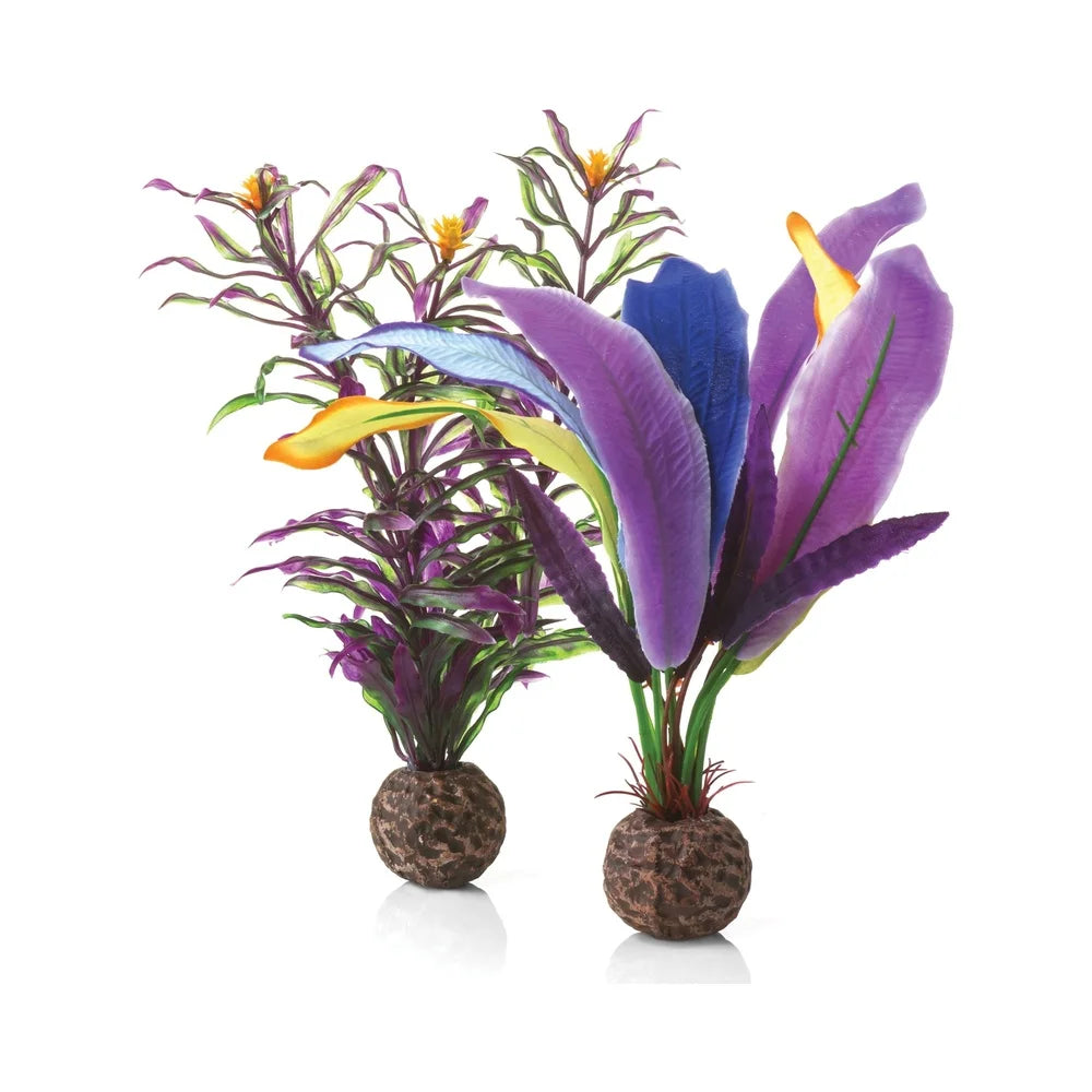 Small Parrot Feathers Aquarium Plant Decoration 2 Pieces