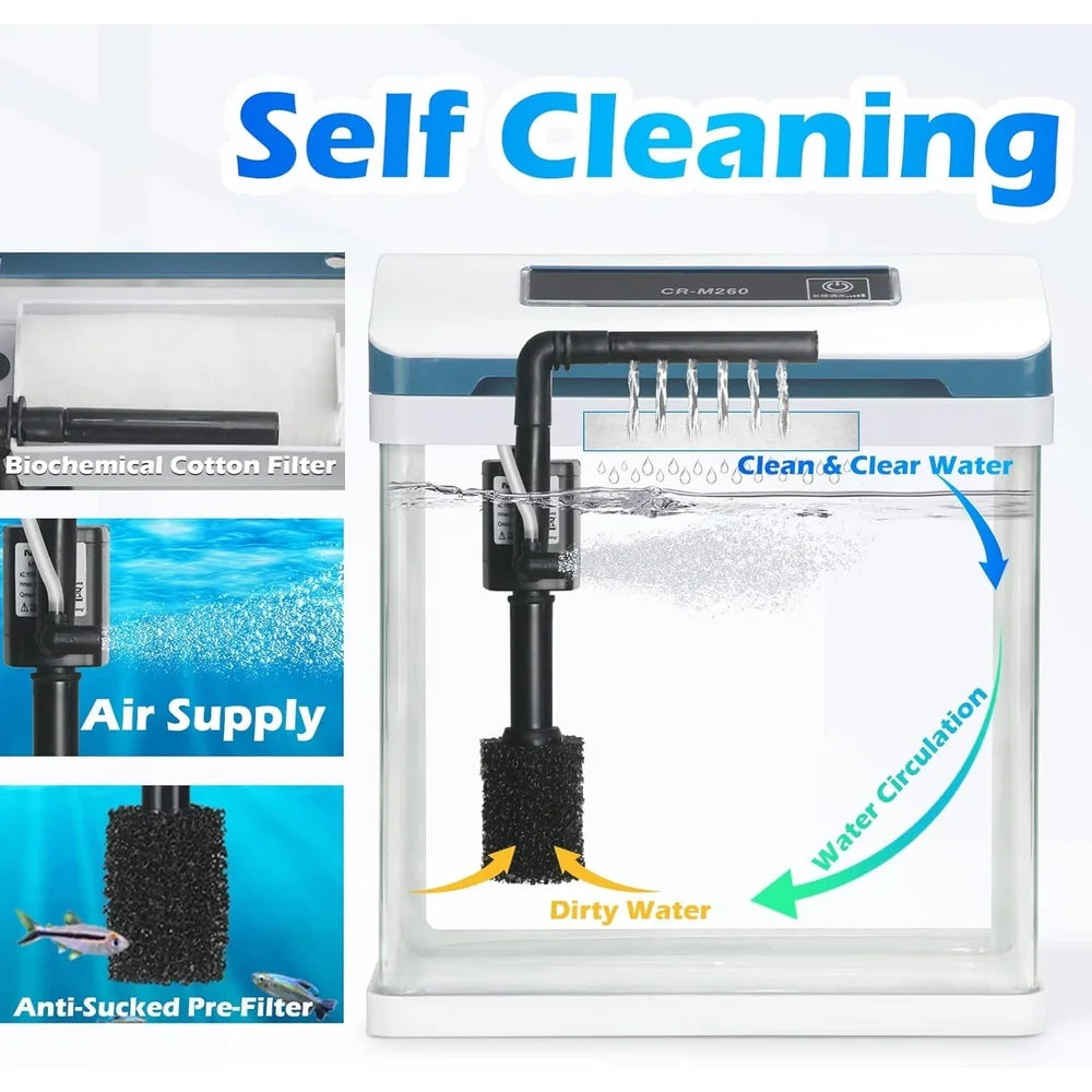 2 Gallon Glass Aquarium Starter Kit Self Cleaning