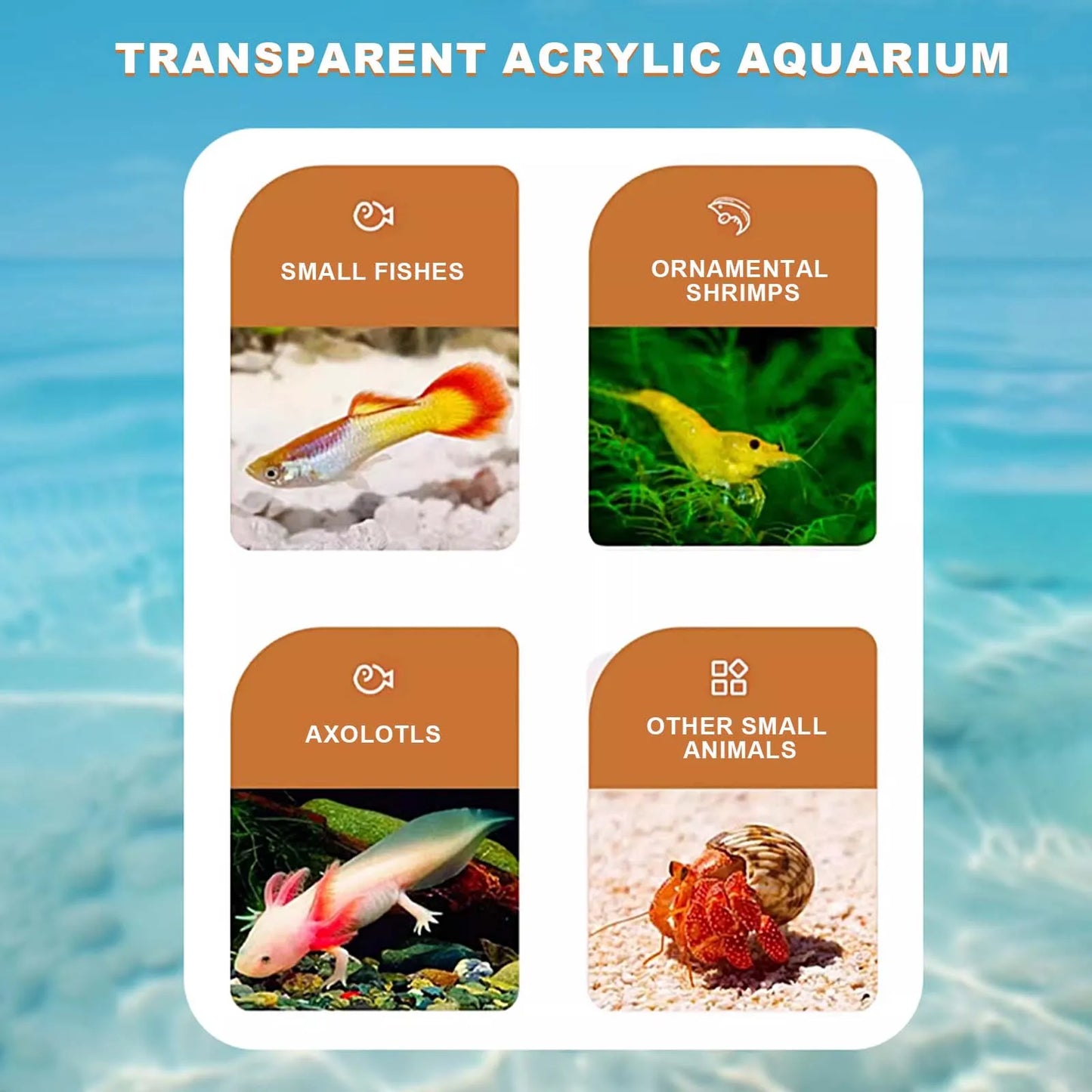 Plastic Fish Tank Starter Kits with LED