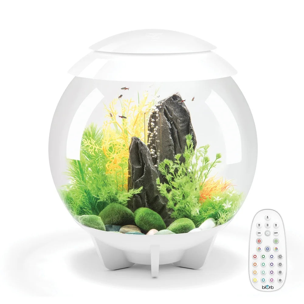 8 Gallon Acrylic Aquarium with Multi-Color Remote