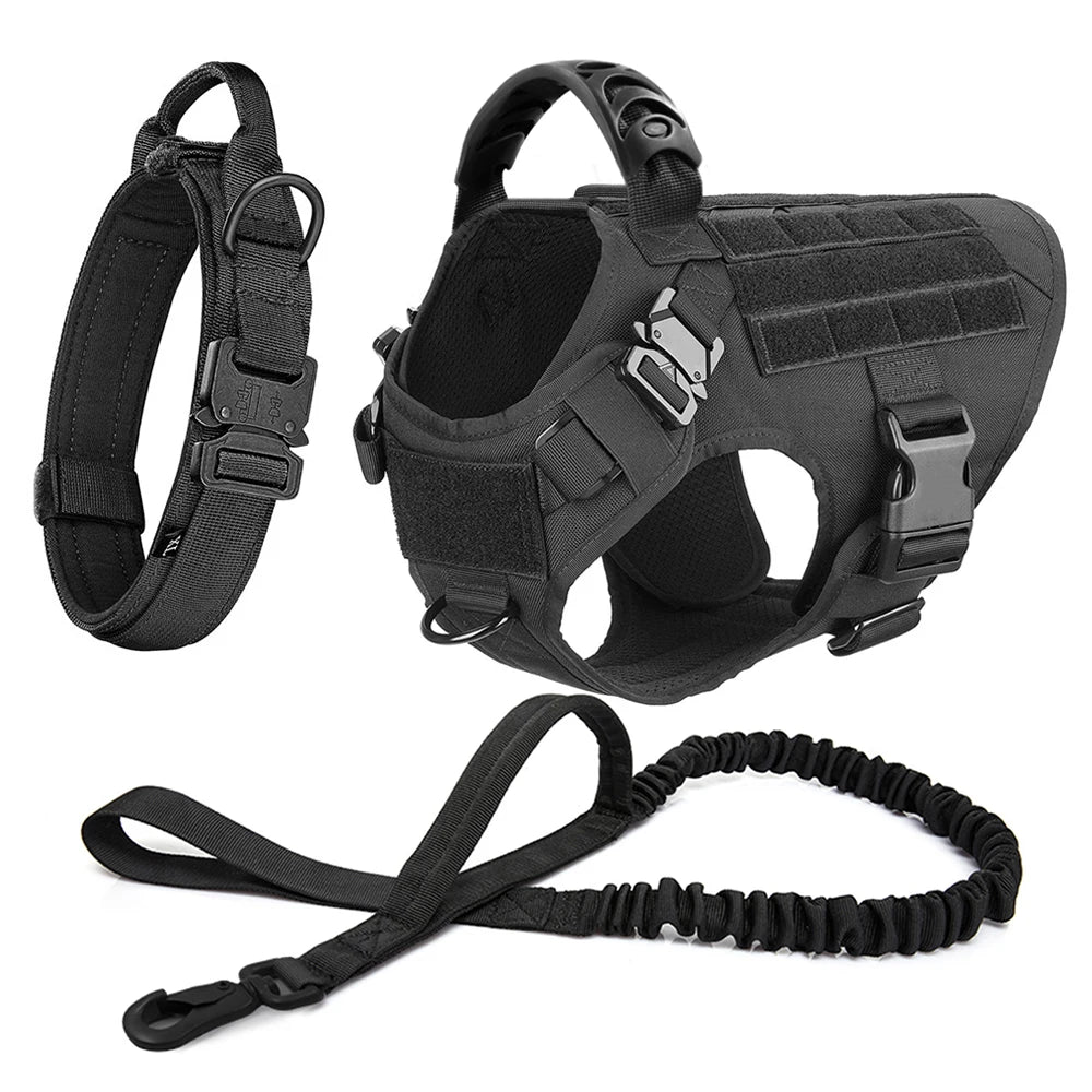 Large Padded Dog Harness And Leash Set