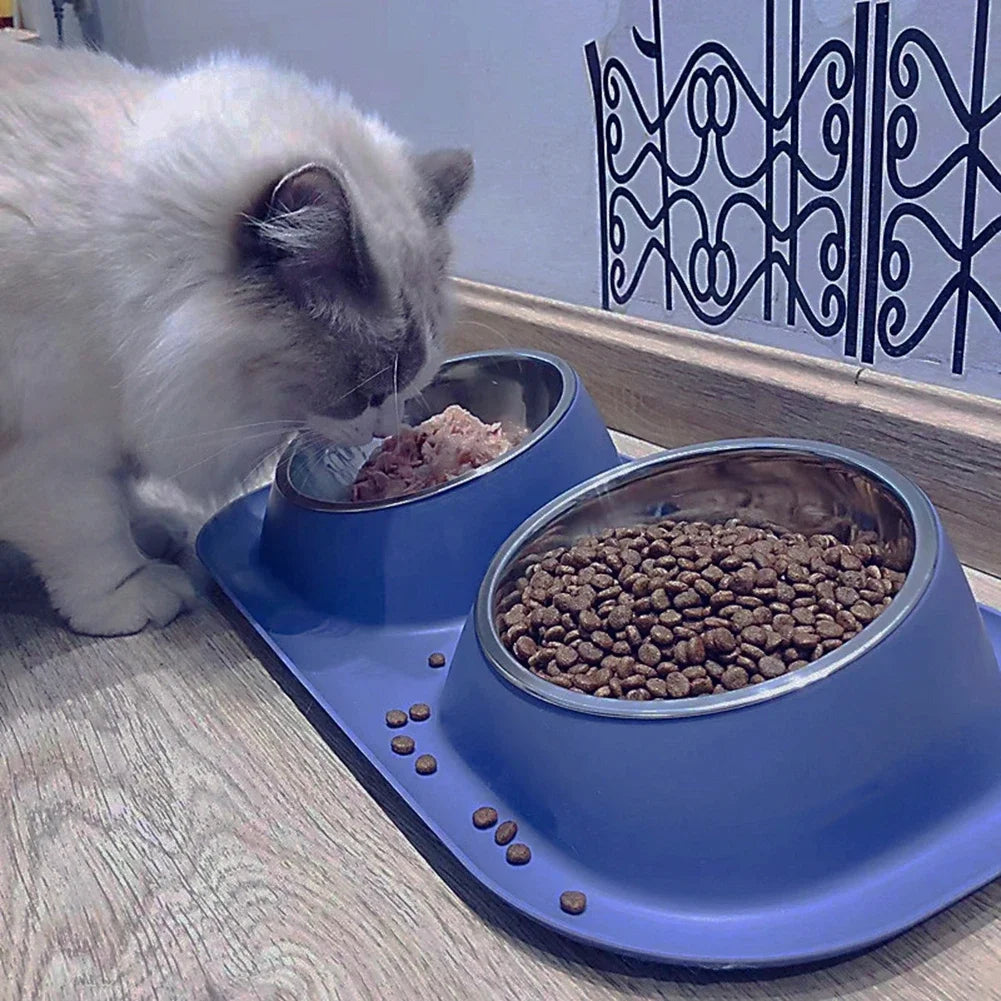 Stainless Steel Cat Dog Bowl Double Container