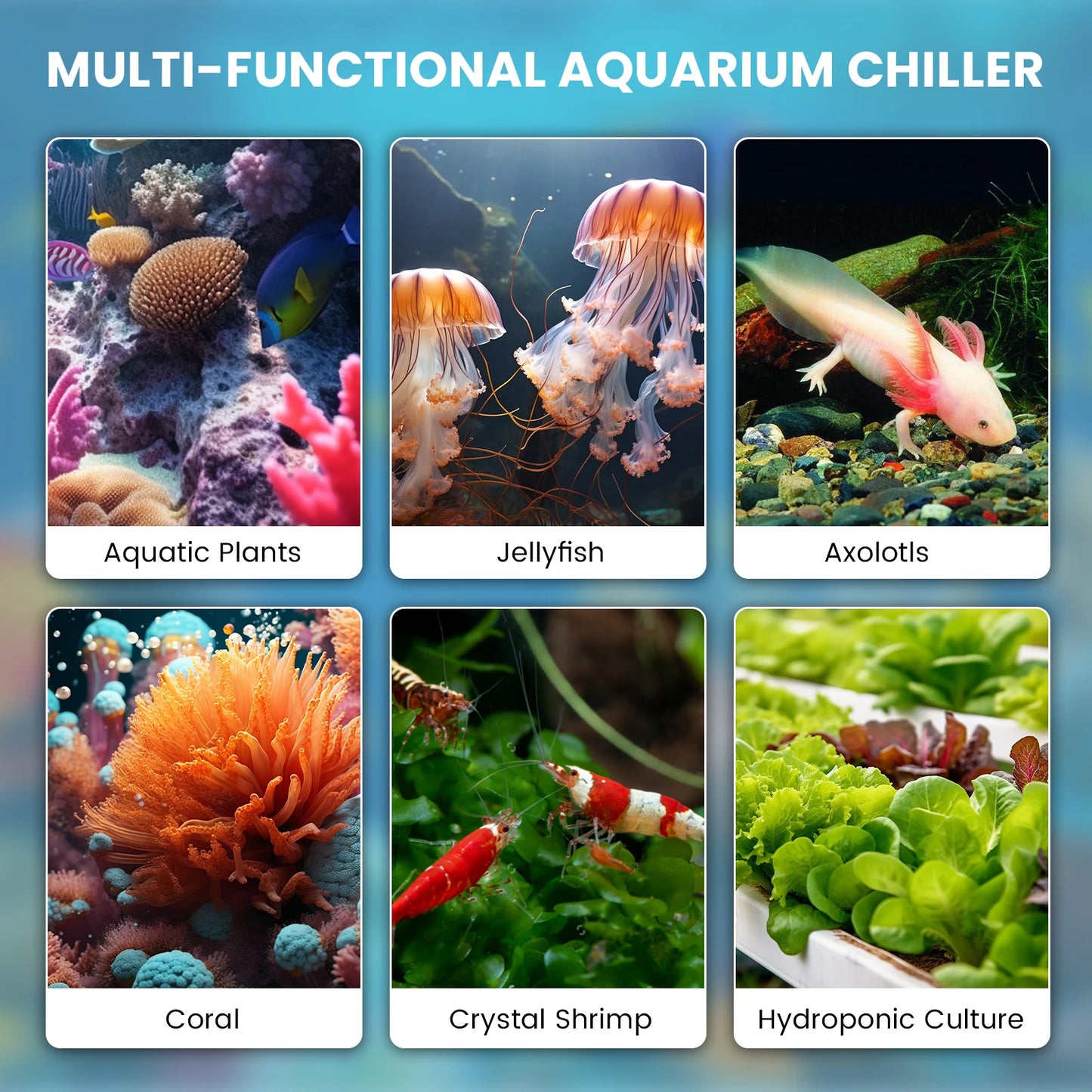 Aquarium Chiller for Fish Tank - 1/3HP Water Chiller
