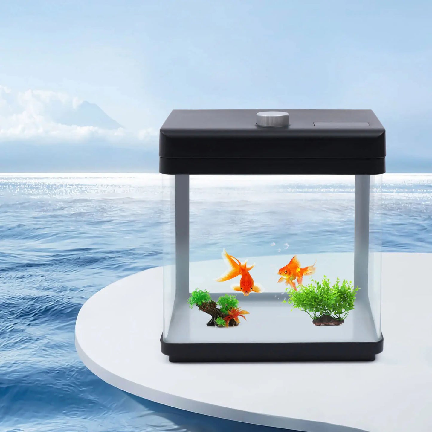 Low Noise 1.5 Gallon Aquarium Kit