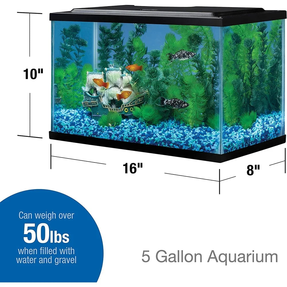 Rectangular Glass Aquarium 5.5 Gallon Fish Tank
