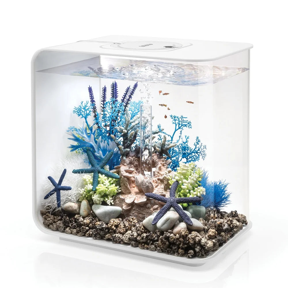 8 Gallon Acrylic Aquarium Kit with LED Light