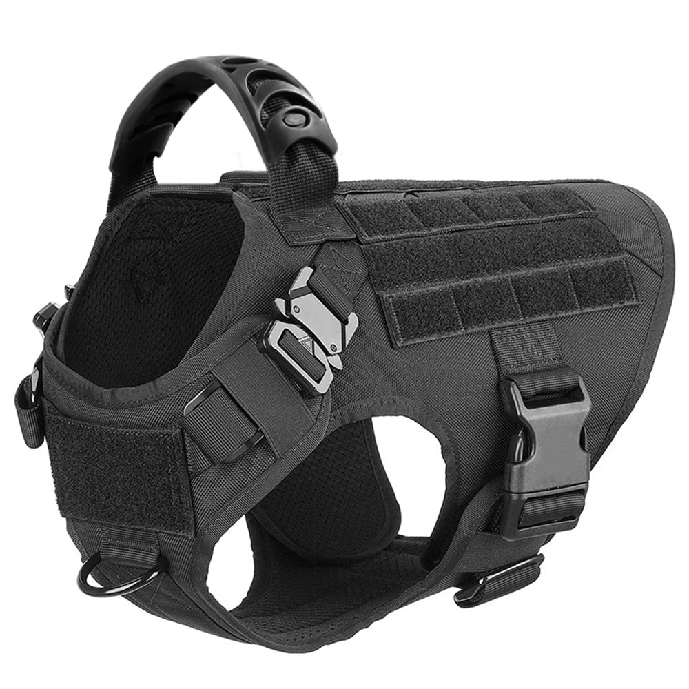 Large Padded Dog Harness And Leash Set
