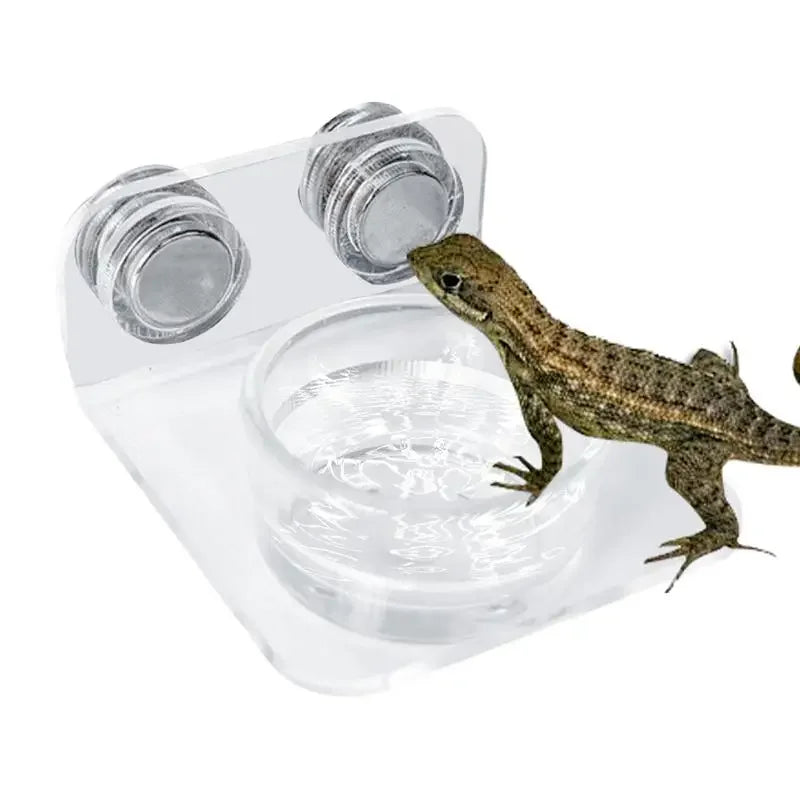 Magnetic Reptile Feeding Ledge Suction Cup