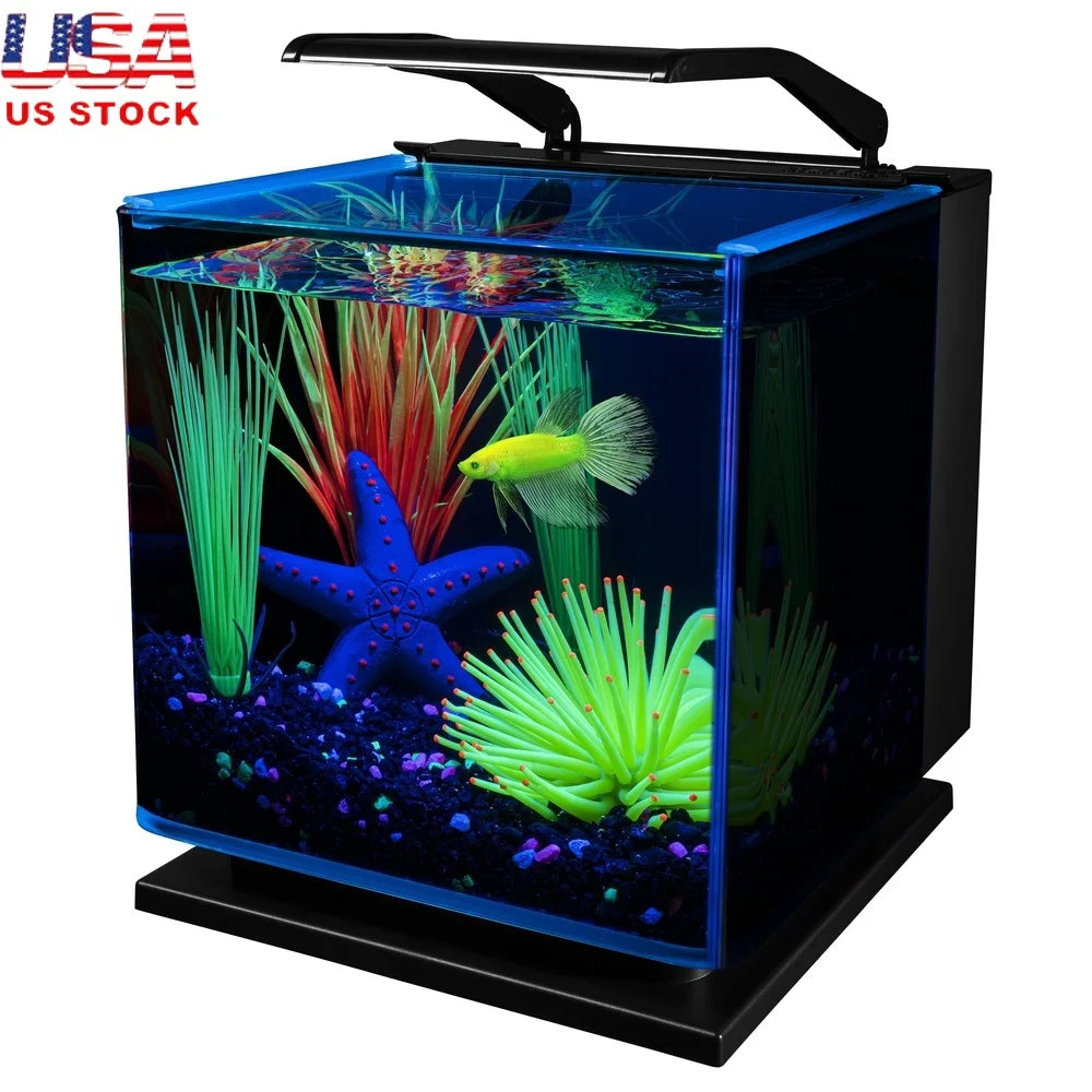 3 Gallon Betta Aquarium Kit with Lighting