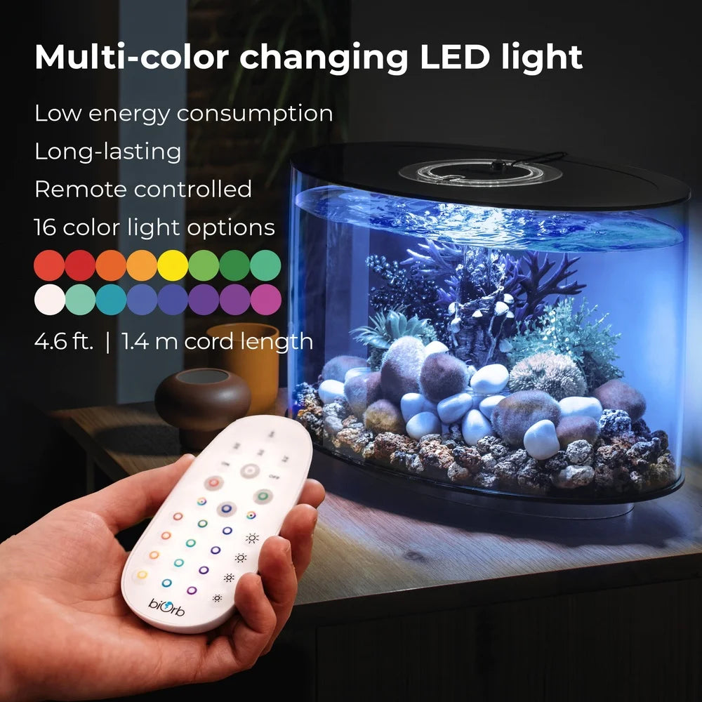 15 Gallon Aquarium with MCR Light, Decoration