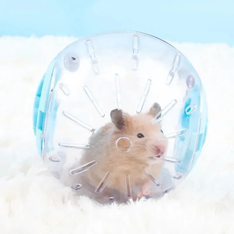 Plastic Outdoor Sport Ball Grounder Rat Small Pet