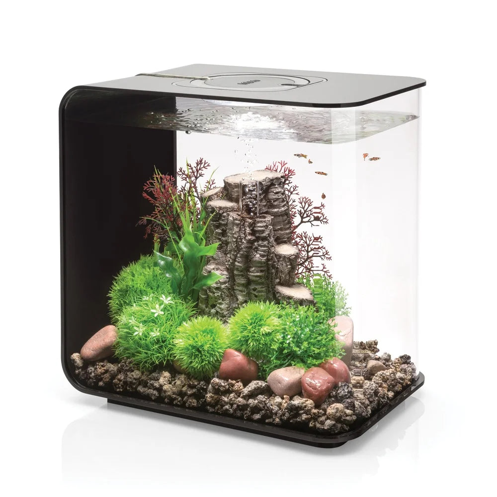 Acrylic Aquarium 8 Gallon with Light