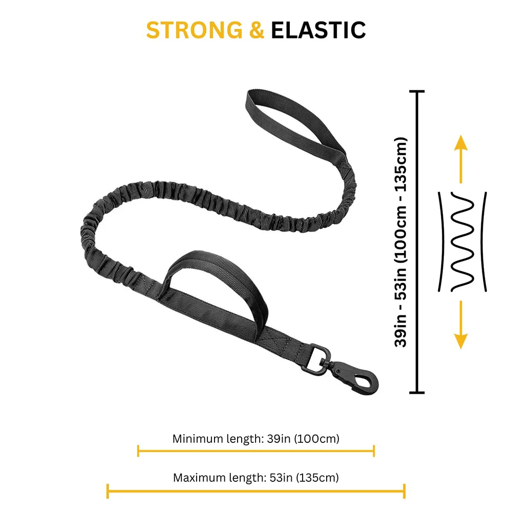 Large Padded Dog Harness And Leash Set