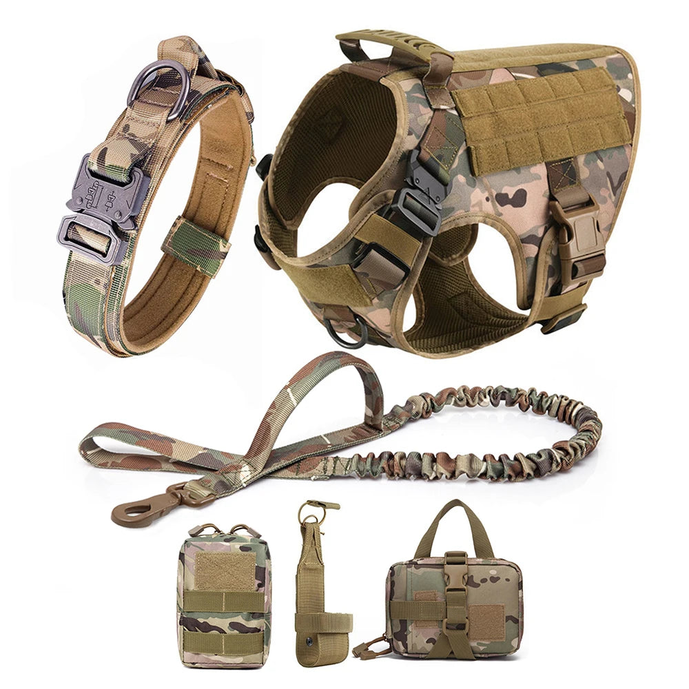 Large Padded Dog Harness And Leash Set