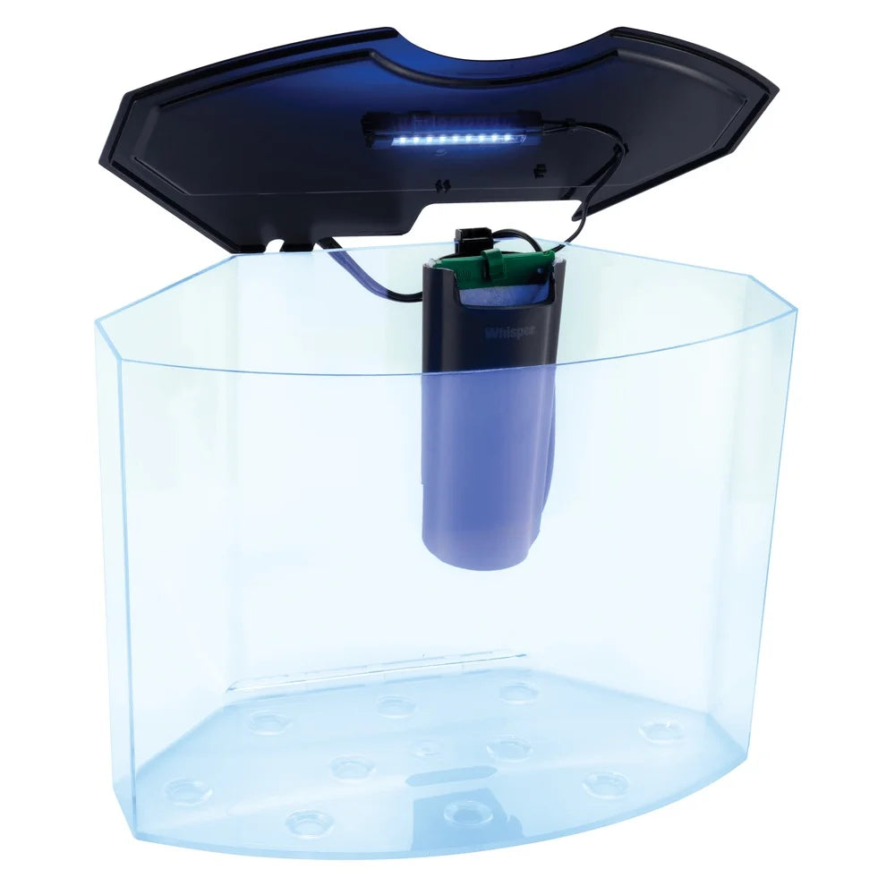 5 Gallon Aquarium Kit with Light Fluorescent