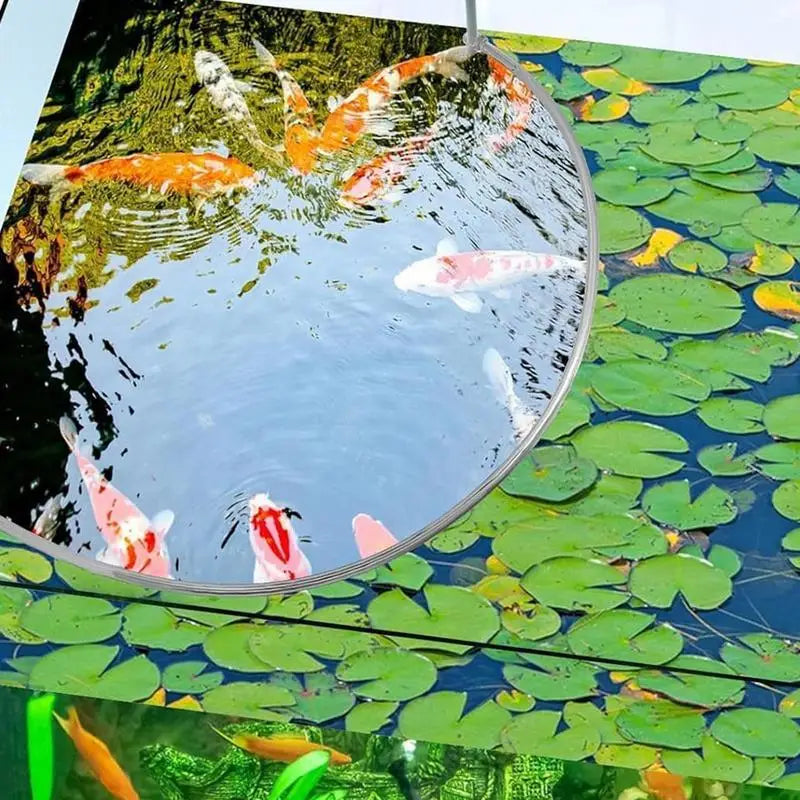 Plant Corral Fish Feeding Ring
