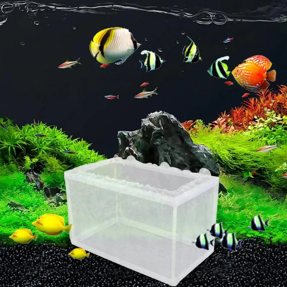 Aquarium Isolation Box, Fish Hatchery Breeding.