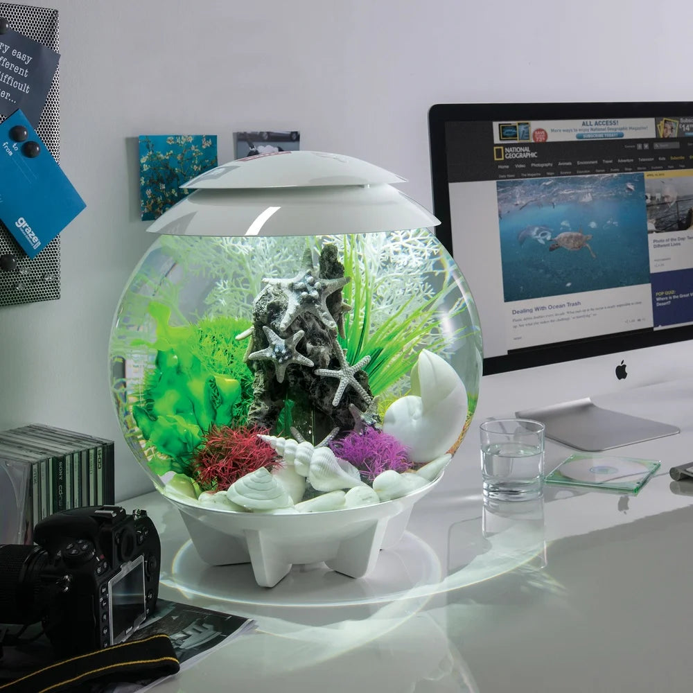 Aquarium Plant Decoration Aquatic Color