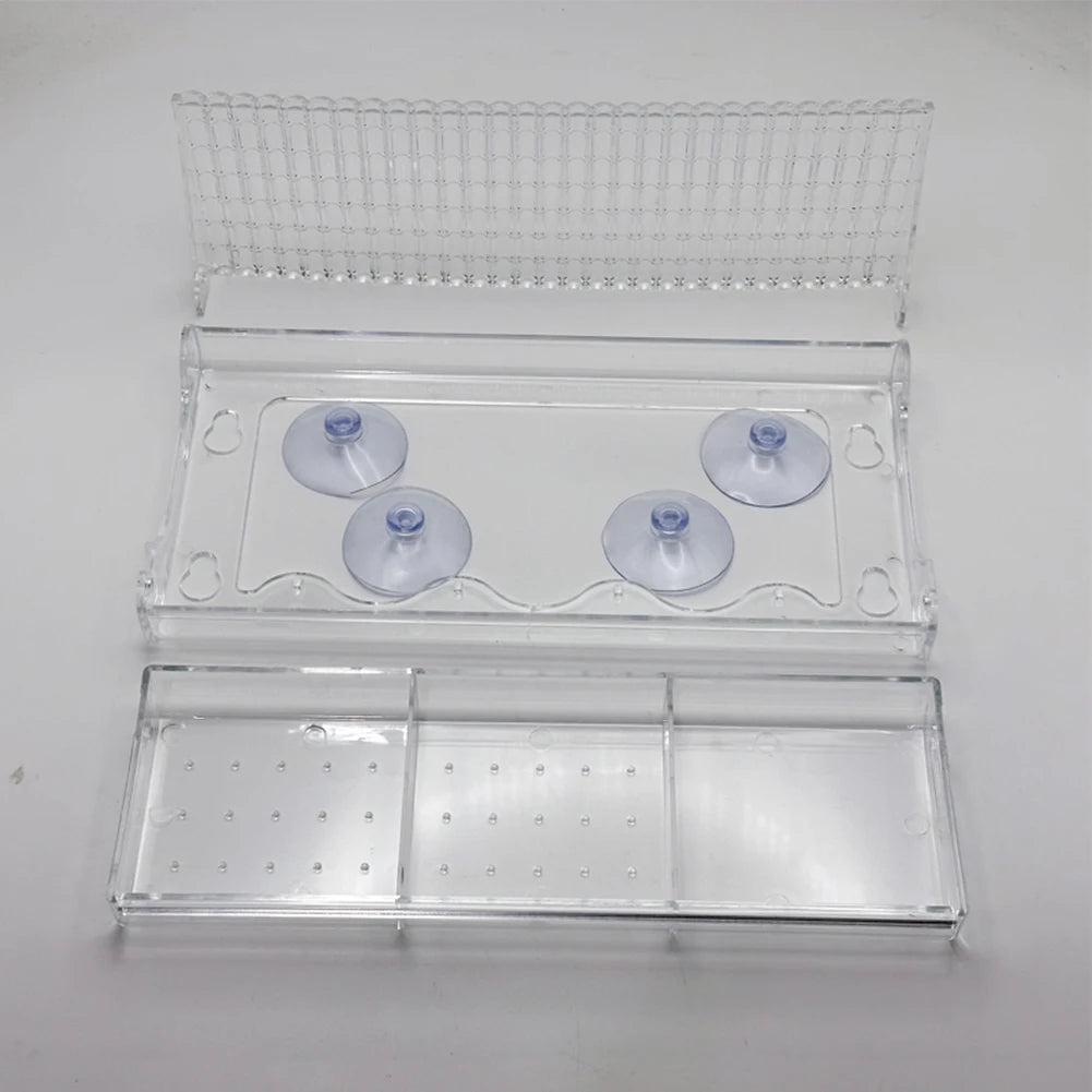 Window Mounted Bird Feeder with Strong Suction Cups