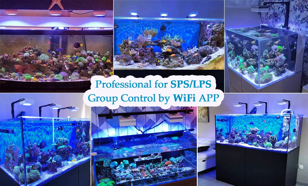 RL90 WiFi Aquarium LED Lighting 100W, Marine Tank.