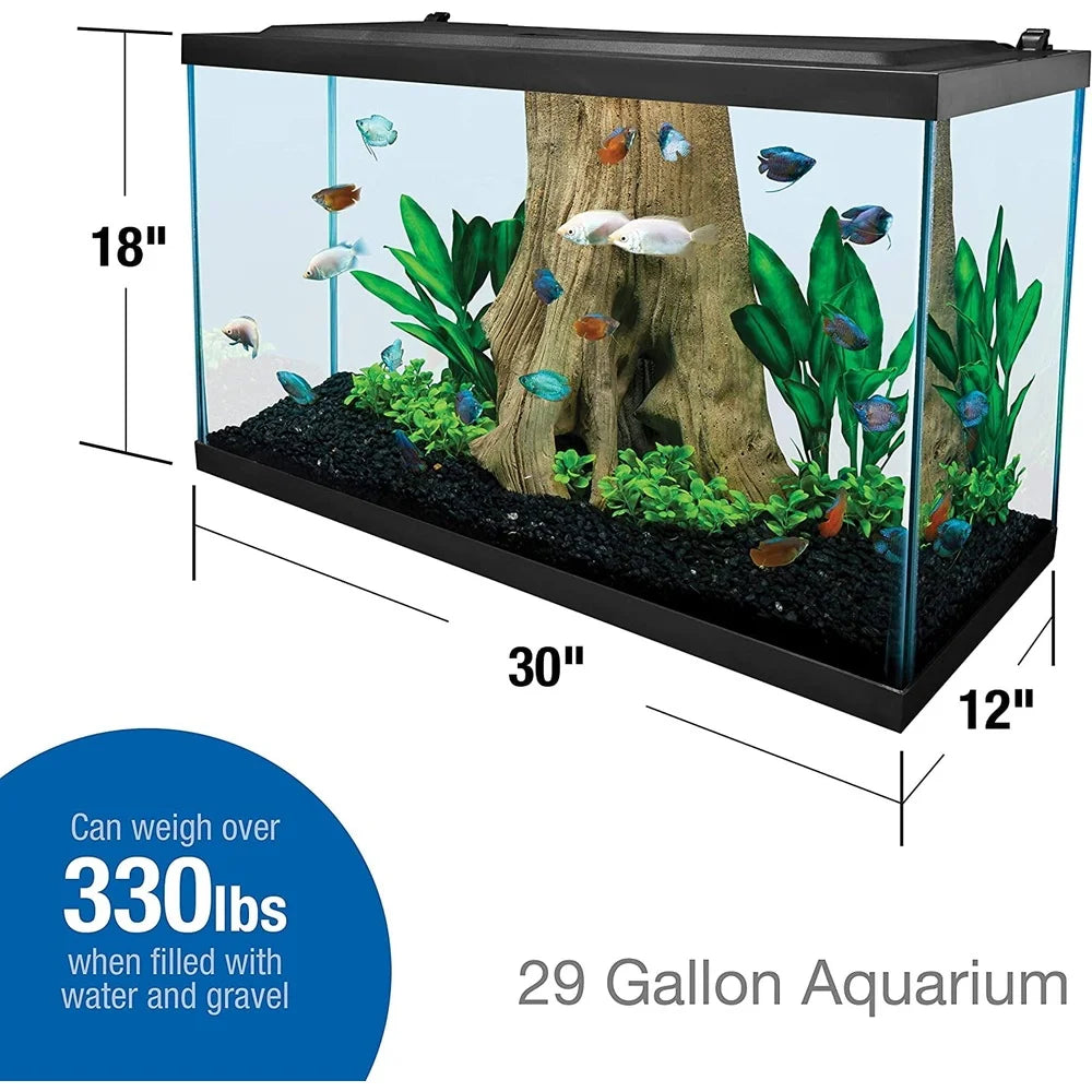 Rectangular Glass Aquarium 5.5 Gallon Fish Tank