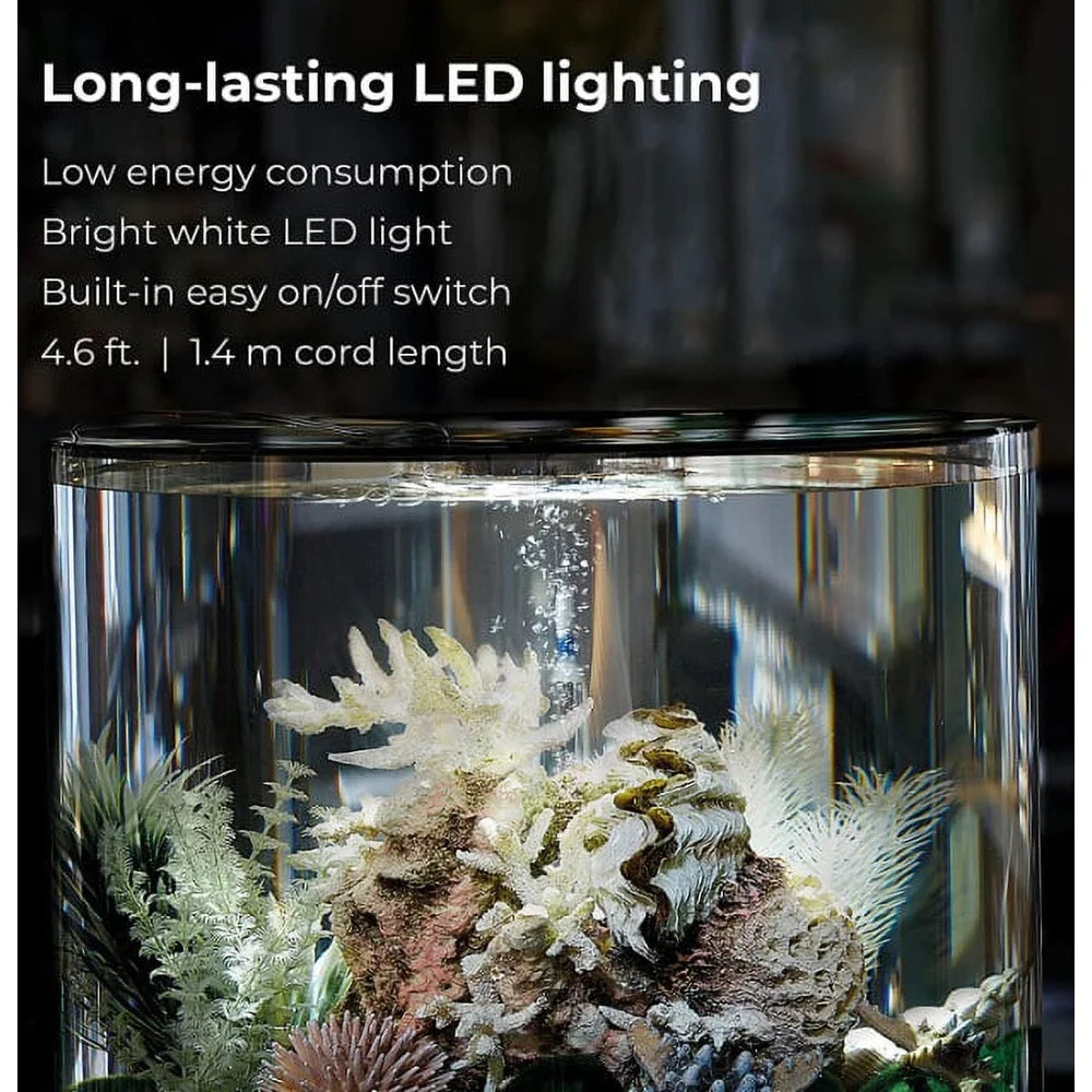 Acrylic Fish Tank with LED Light Quiet