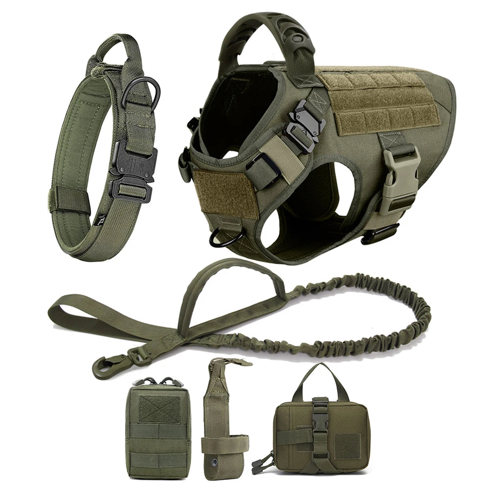Large Padded Dog Harness And Leash Set