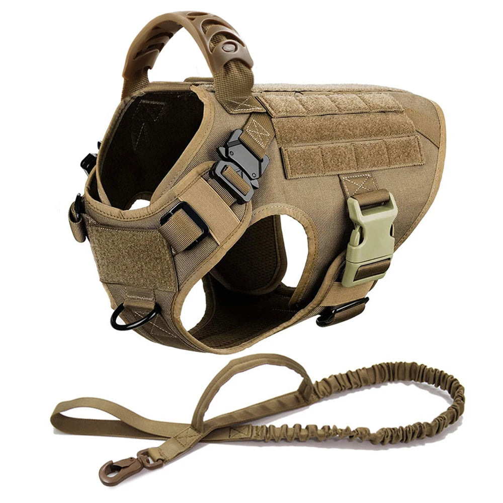 Large Padded Dog Harness And Leash Set