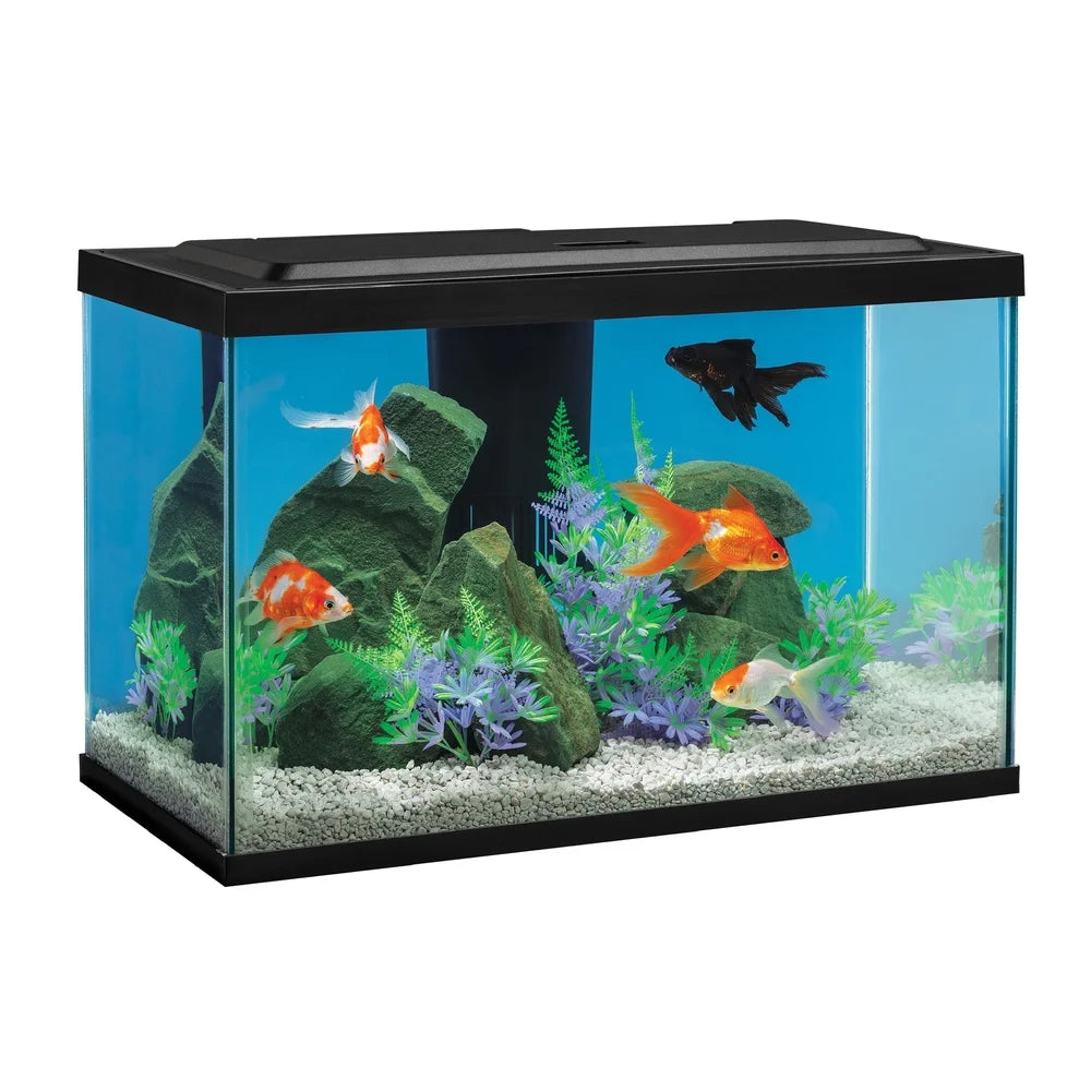 Complete LED Aquarium Kit 20 Gallon Glass Tank