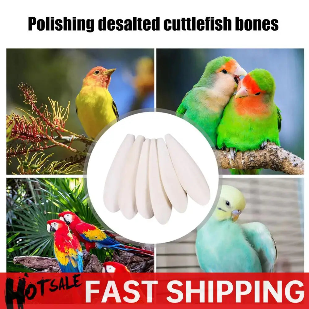 Cuttlefish Bone Parrot Bird Chewing Toys