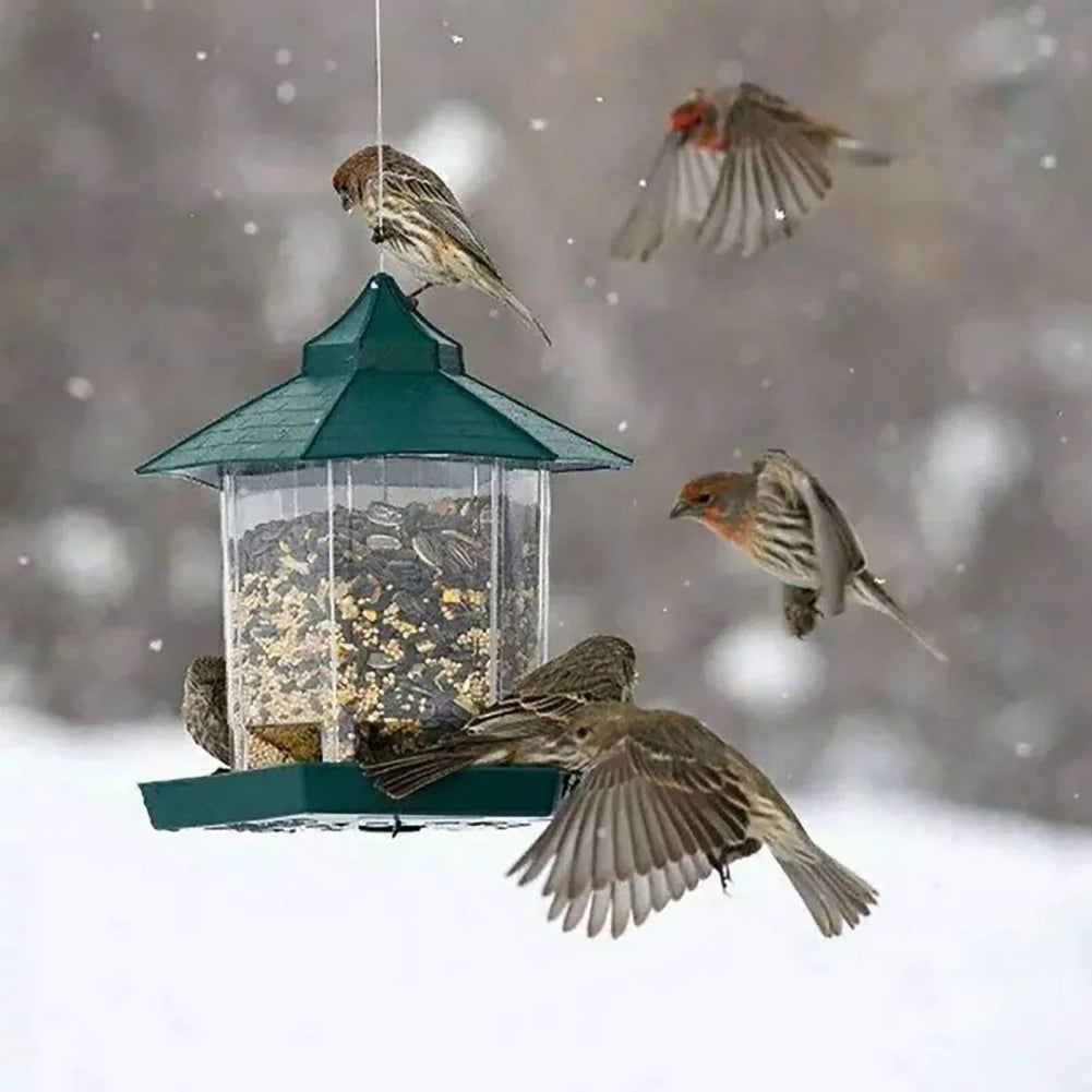 Wild Bird Hangable Feeder Outdoor Container With Rope