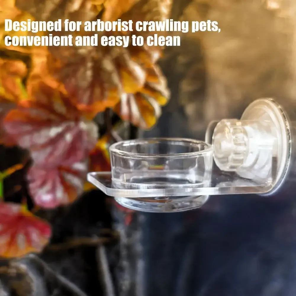 Magnetic Reptile Feeding Ledge Suction Cup