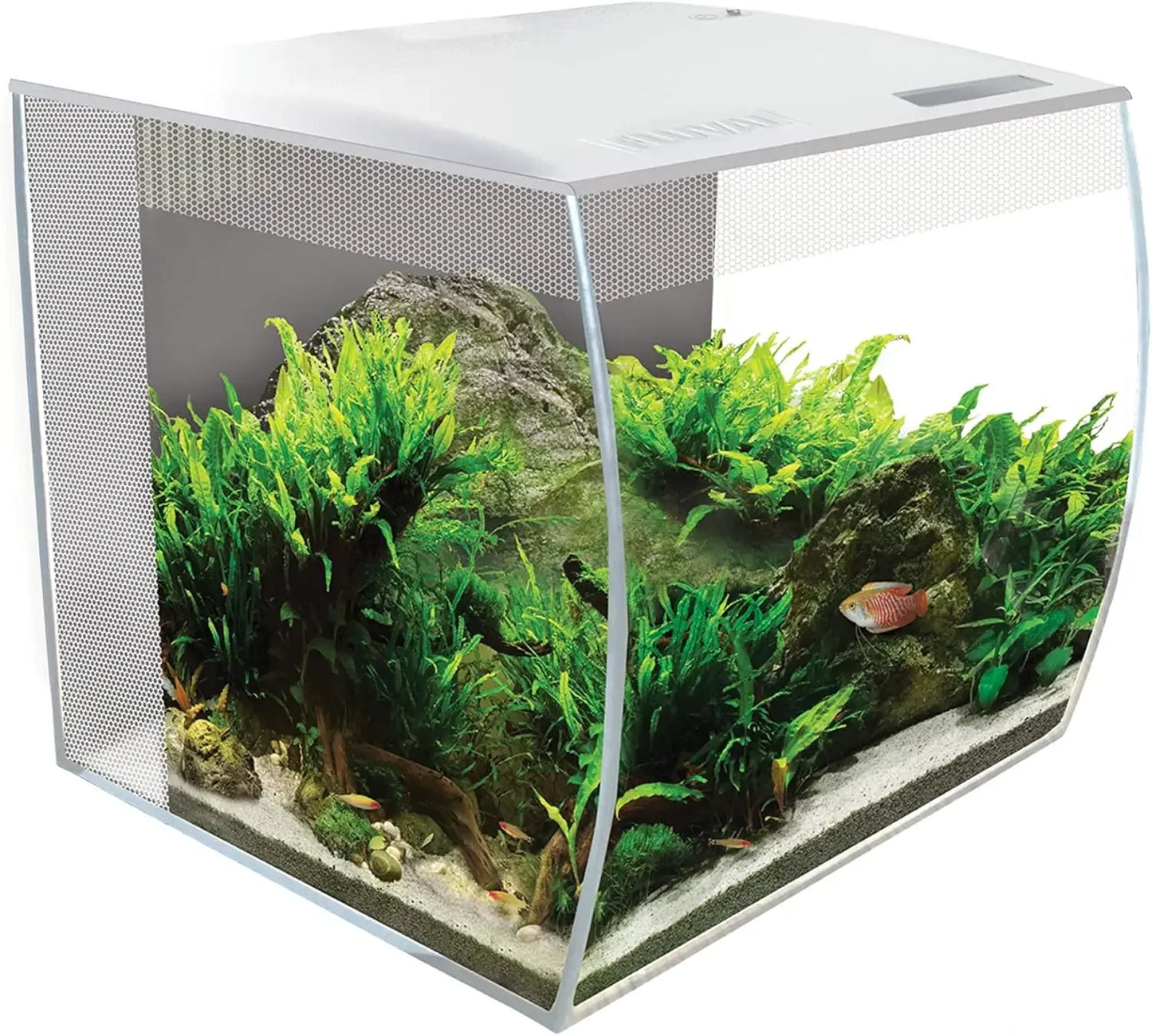 Flex Freshwater Aquarium Kit – 15 Gallon,